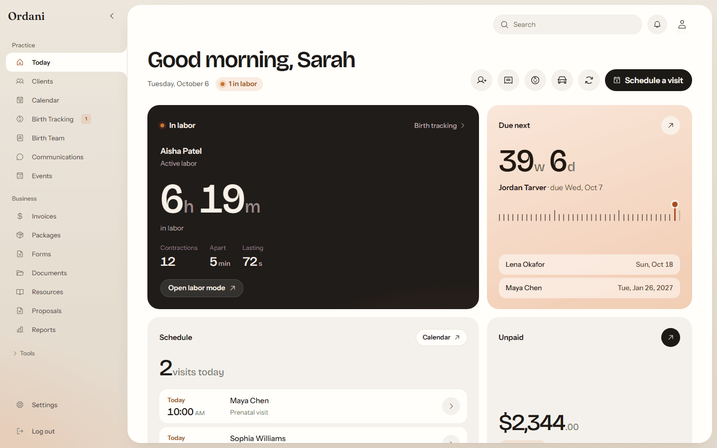 The Today dashboard on a computer: a sample doula's day, with a client in labor six hours and nineteen minutes.
